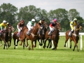 Horse-racing-1